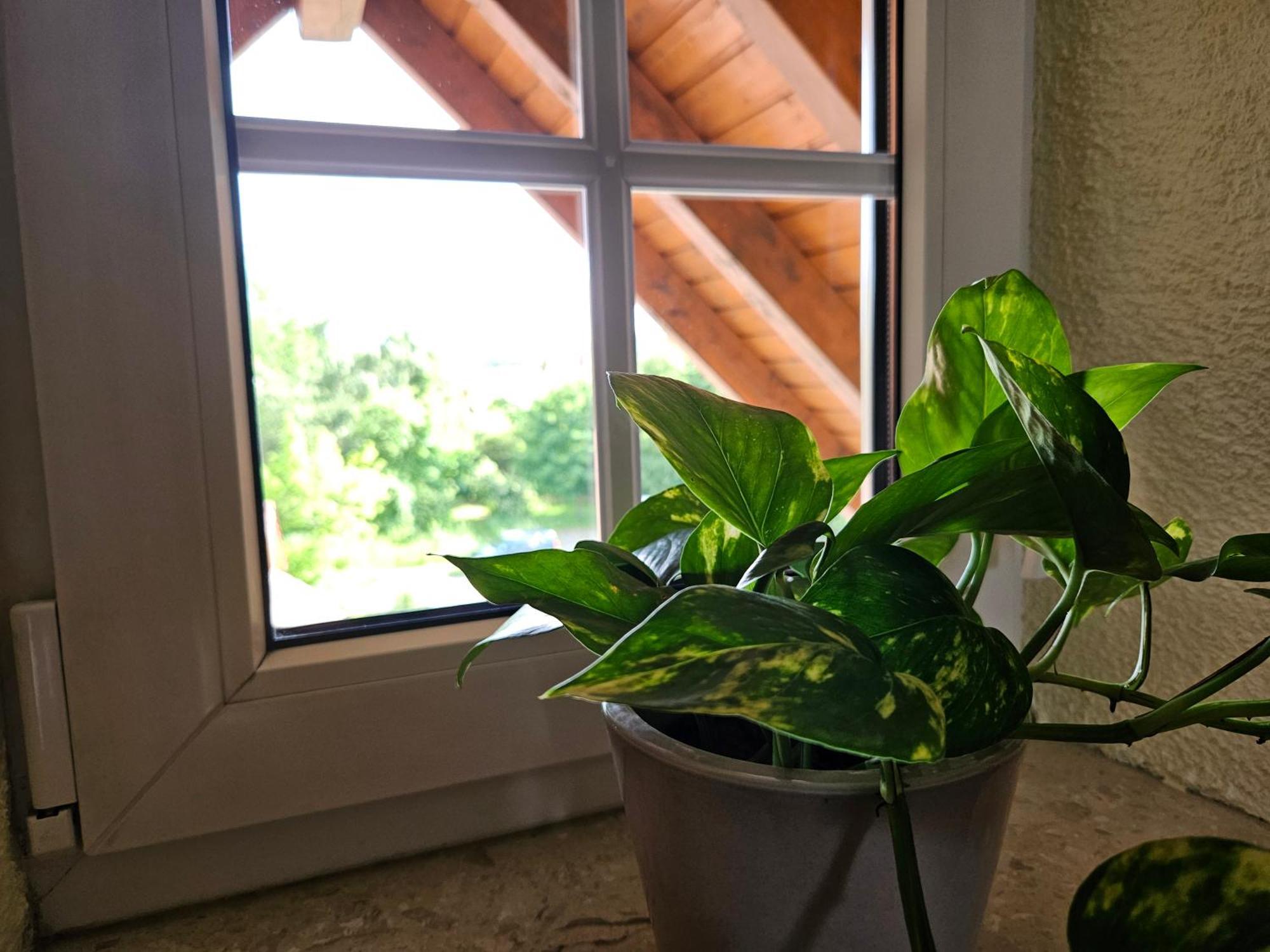 Service Appartement Weigl Nittenau Zewnętrze zdjęcie